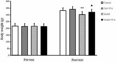 Effects of Mongolian Warm Acupuncture on iNOS/NO and Inflammatory Cytokines in the Hippocampus of Chronic Fatigue Rats